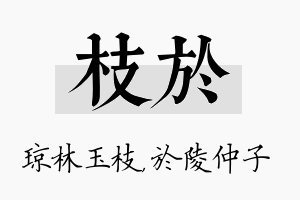 枝於名字的寓意及含义