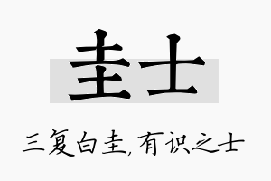 圭士名字的寓意及含义