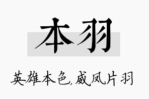 本羽名字的寓意及含义