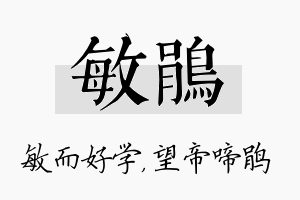 敏鹃名字的寓意及含义