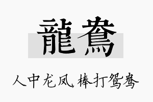 龙鸯名字的寓意及含义