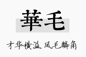 华毛名字的寓意及含义