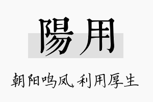 阳用名字的寓意及含义