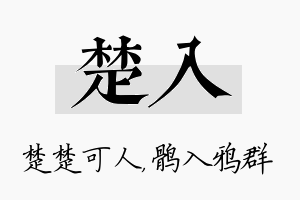 楚入名字的寓意及含义