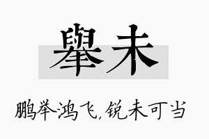 举未名字的寓意及含义