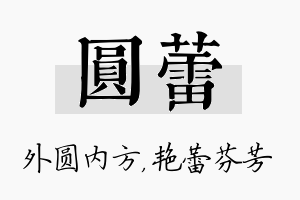 圆蕾名字的寓意及含义