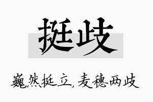 挺歧名字的寓意及含义