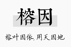 榕因名字的寓意及含义