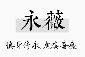 永薇名字的寓意及含义