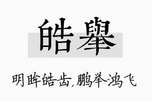 皓举名字的寓意及含义