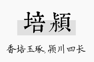 培颍名字的寓意及含义