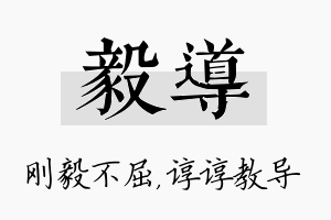 毅导名字的寓意及含义