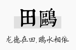 田鸥名字的寓意及含义