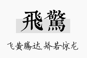 飞惊名字的寓意及含义