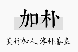 加朴名字的寓意及含义