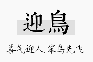 迎鸟名字的寓意及含义