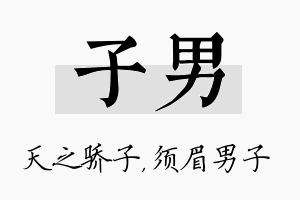 子男名字的寓意及含义