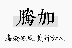 腾加名字的寓意及含义