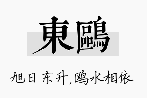 东鸥名字的寓意及含义