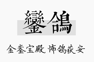 銮鸽名字的寓意及含义