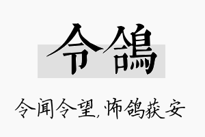 令鸽名字的寓意及含义