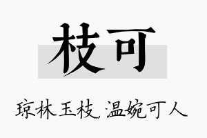 枝可名字的寓意及含义