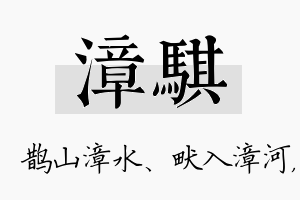 漳骐名字的寓意及含义