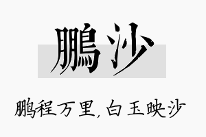 鹏沙名字的寓意及含义