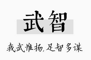 武智名字的寓意及含义