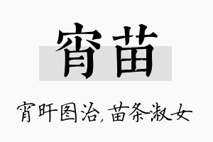 宵苗名字的寓意及含义