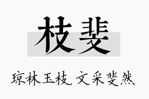 枝斐名字的寓意及含义