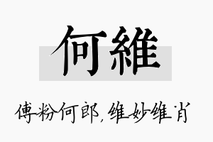 何维名字的寓意及含义