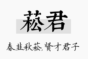 菘君名字的寓意及含义