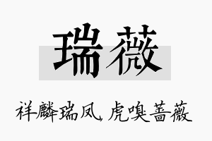 瑞薇名字的寓意及含义