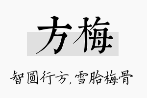 方梅名字的寓意及含义