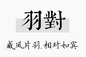 羽对名字的寓意及含义