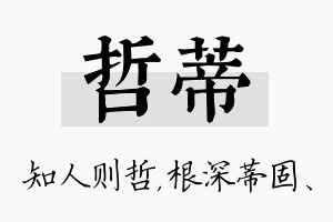 哲蒂名字的寓意及含义