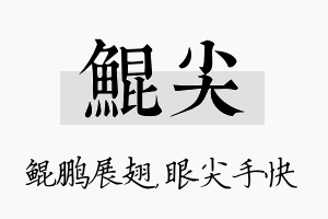 鲲尖名字的寓意及含义