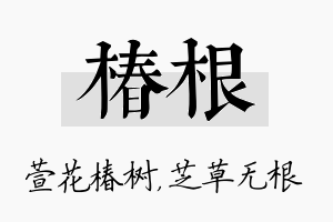 椿根名字的寓意及含义