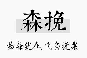 森挽名字的寓意及含义