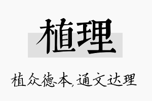 植理名字的寓意及含义