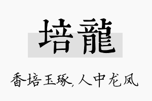 培龙名字的寓意及含义