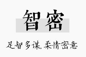 智密名字的寓意及含义