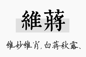 维蒋名字的寓意及含义