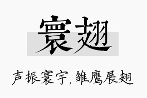 寰翅名字的寓意及含义