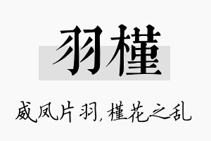 羽槿名字的寓意及含义