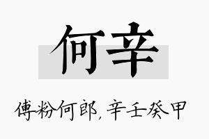 何辛名字的寓意及含义