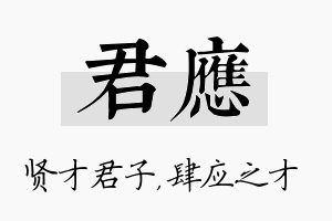 君应名字的寓意及含义