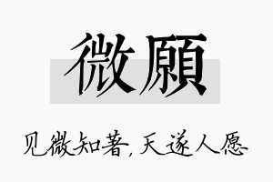 微愿名字的寓意及含义