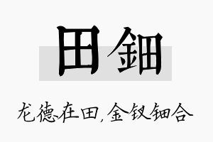 田钿名字的寓意及含义